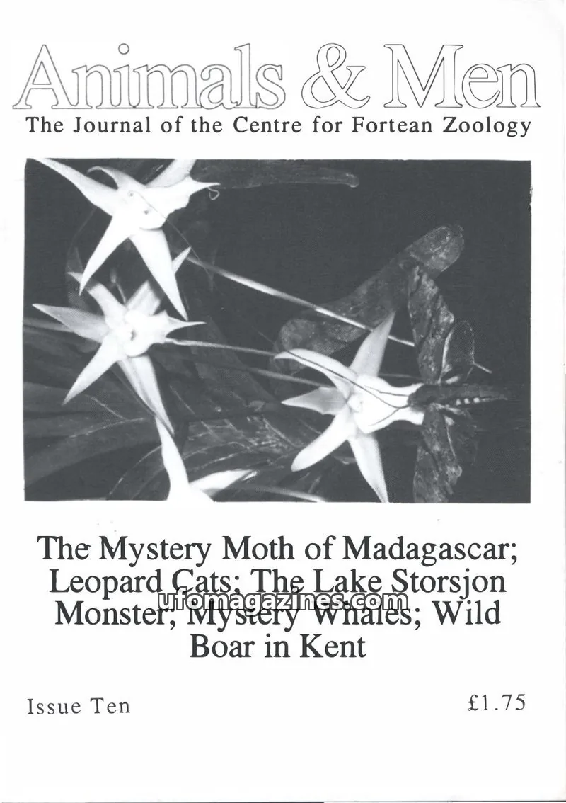 Cover of Animals and Men (CFZ) issue Ten: Animals & Men