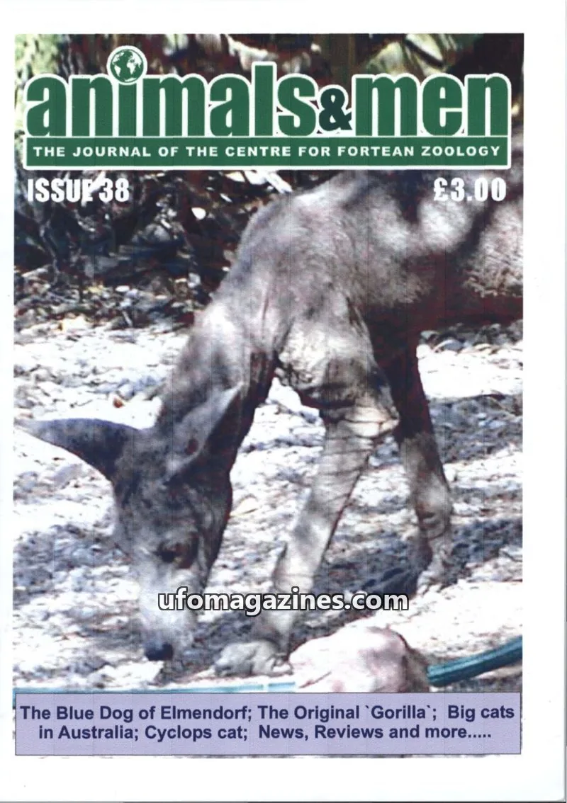 Cover of Animals and Men (CFZ) issue 38: Animals & Men