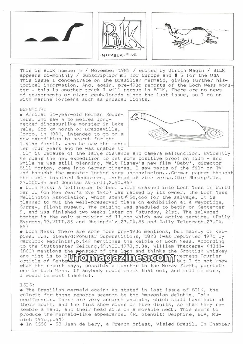 Cover of BILK issue 5: BILK