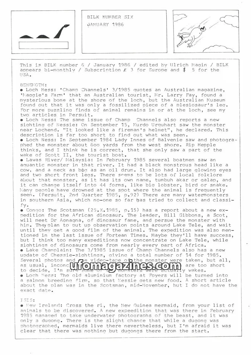 Cover of Bilk (Ulrich Magin) issue NUMBER SIX: BILK