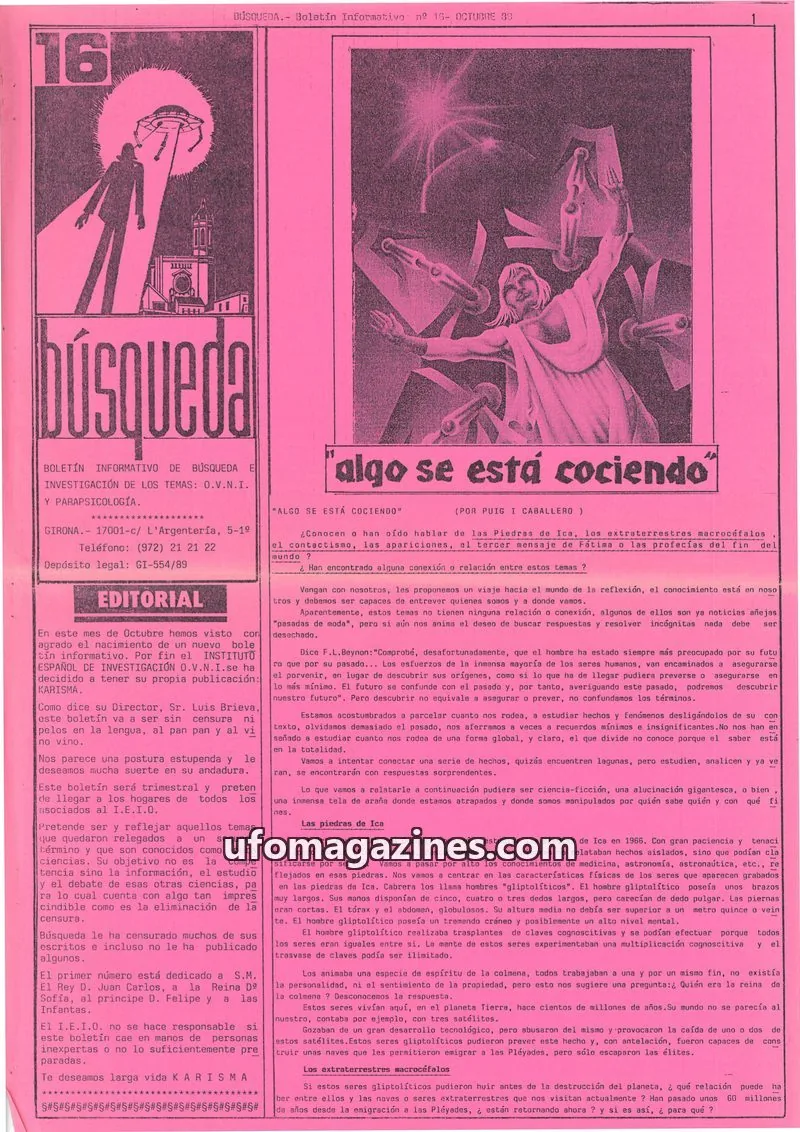 Cover of Busqueda Boletin issue 16: BÚSQUEDA