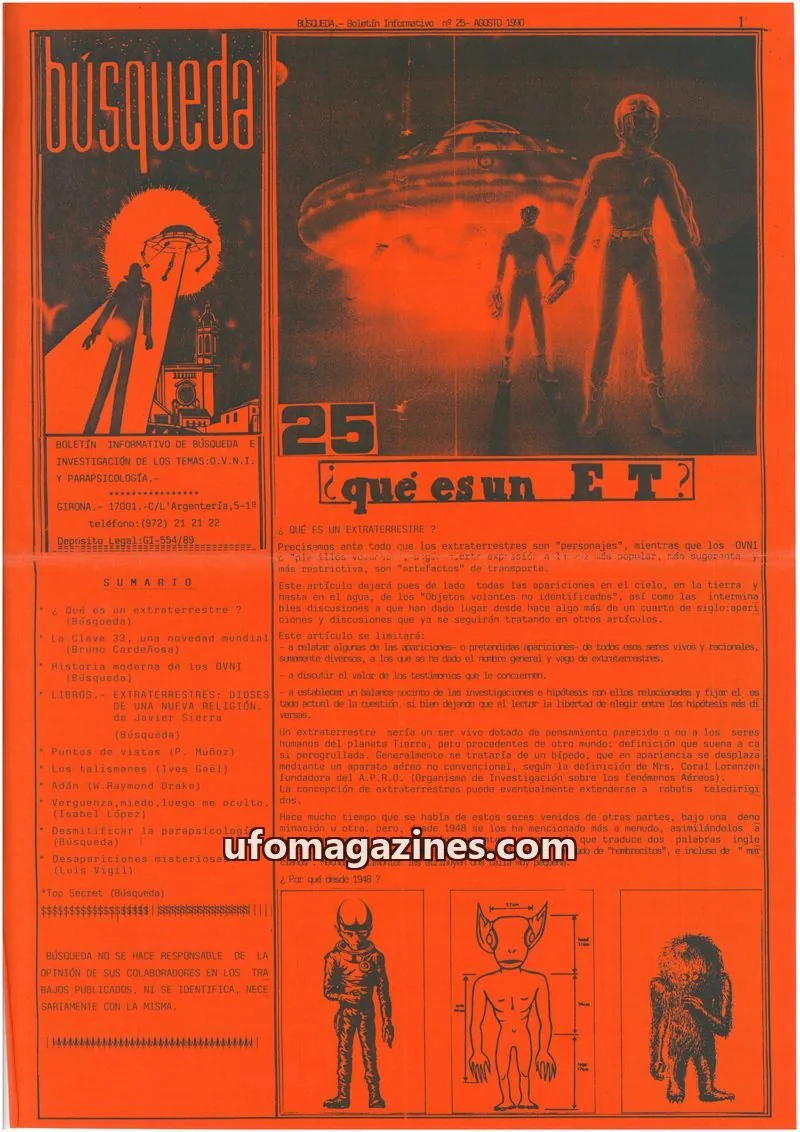 Cover of Busqueda Boletin issue 25: BÚSQUEDA