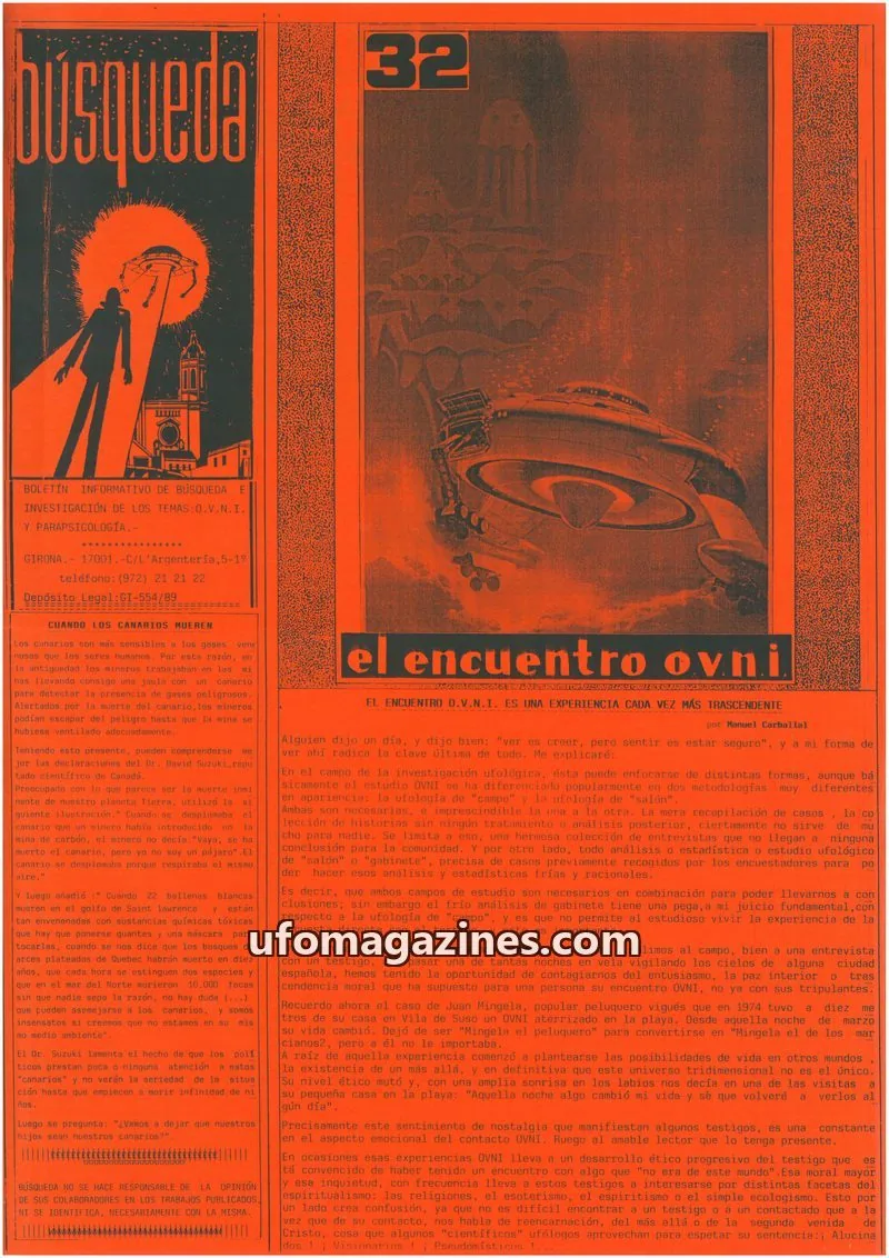 Cover of Busqueda Boletin issue 32: Búsqueda
