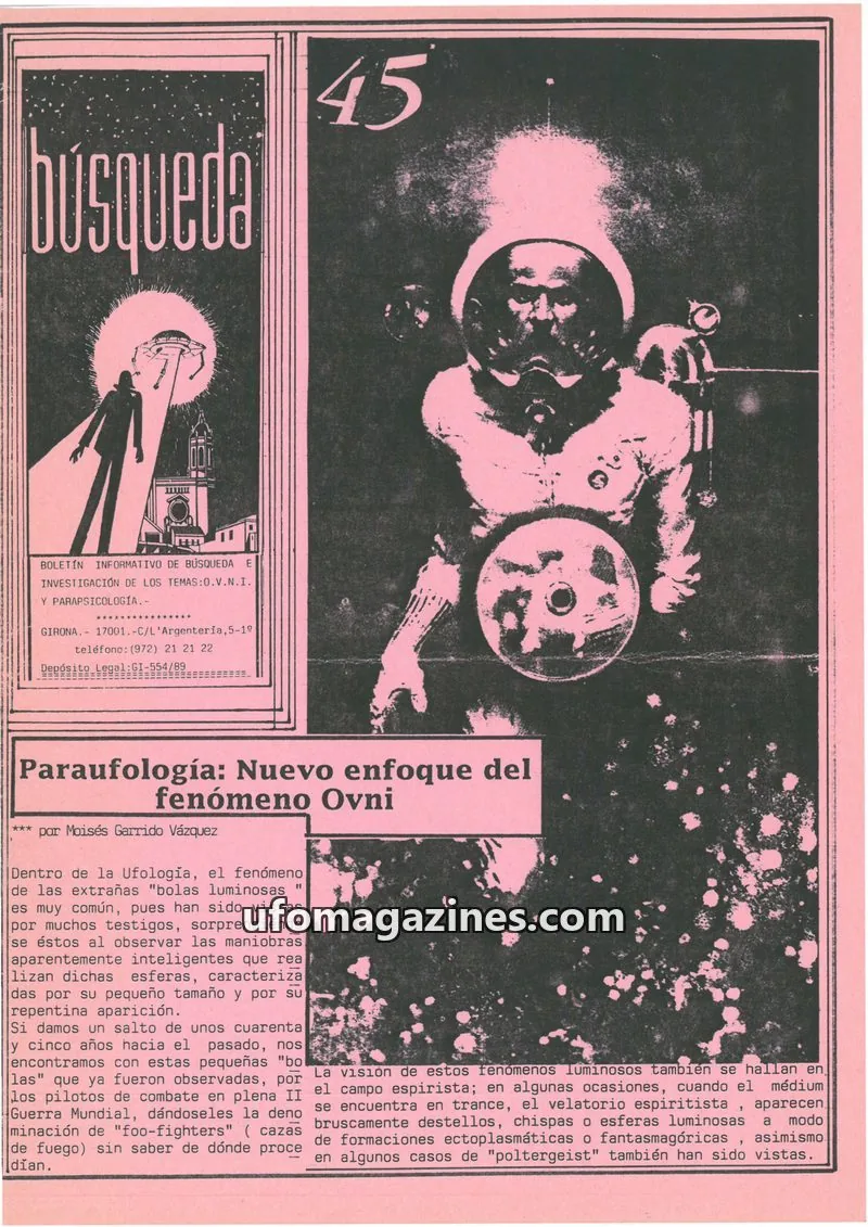 Cover of Busqueda Boletin issue 45: Búsqueda