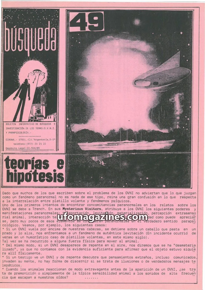 Cover of Busqueda Boletin issue 49: BÚSQUEDA