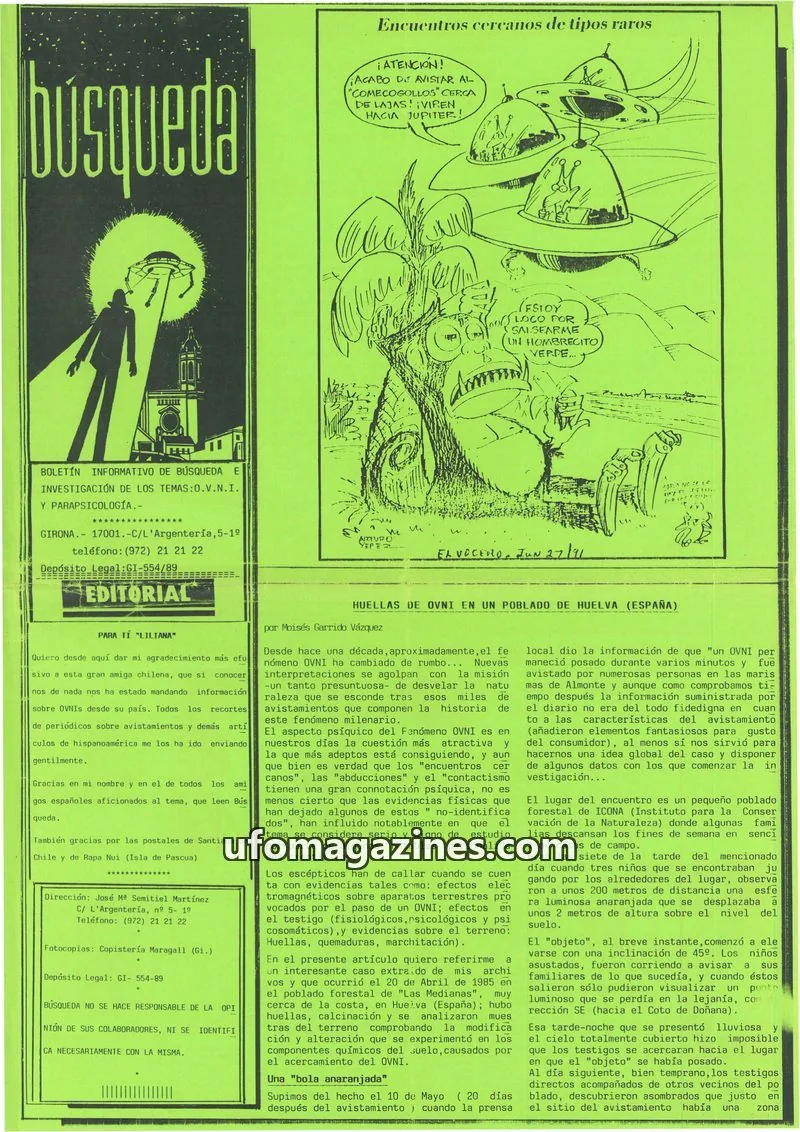 Cover of Busqueda Boletin issue 62: búsqueda