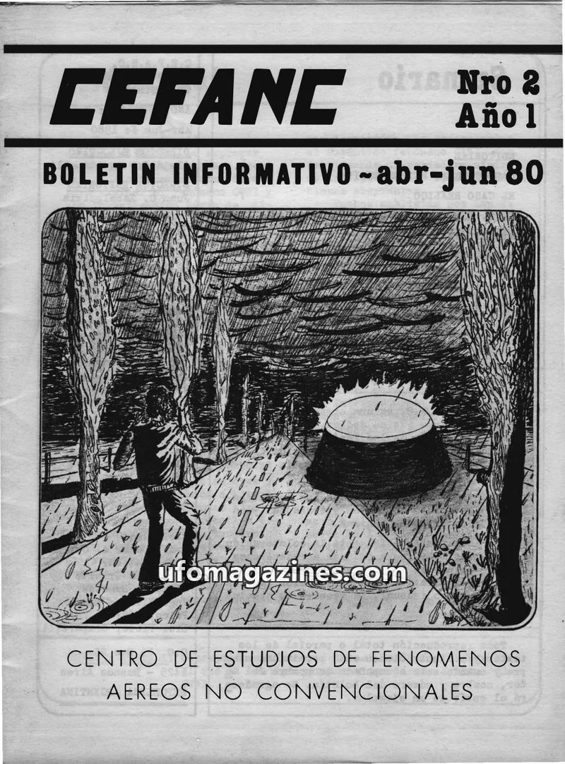 Cover of CEFANC Boletin Informativo issue Nro 2: CEFANC