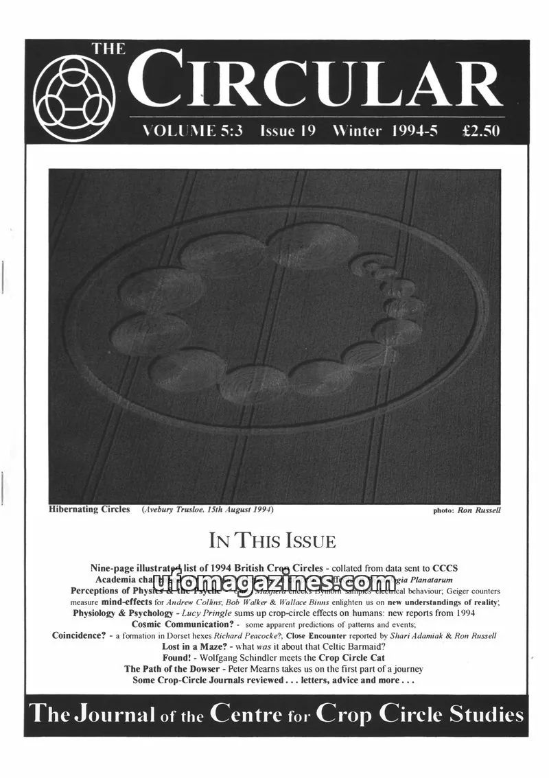 Cover of Circular, The (Centre for Crop Circle Studies) issue 19: THE CIRCULAR