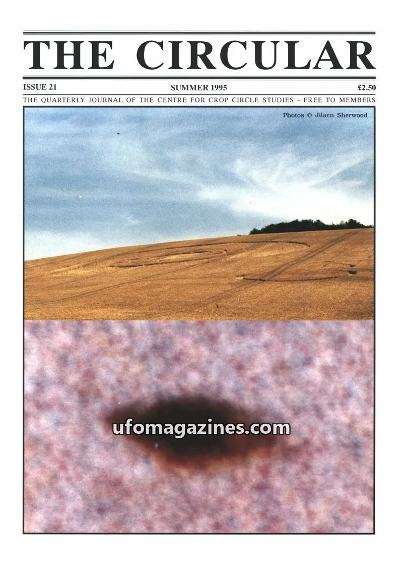Cover of Circular, The (Centre for Crop Circle Studies) issue 21: THE CIRCULAR