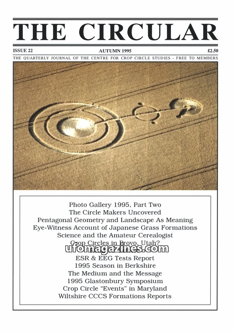 Cover of Circular, The (Centre for Crop Circle Studies) issue 22: THE CIRCULAR