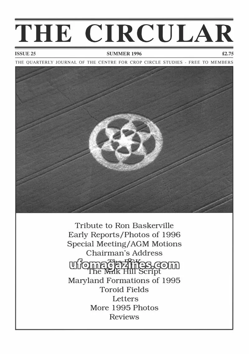 Cover of Circular, The (Centre for Crop Circle Studies) issue 25: THE CIRCULAR