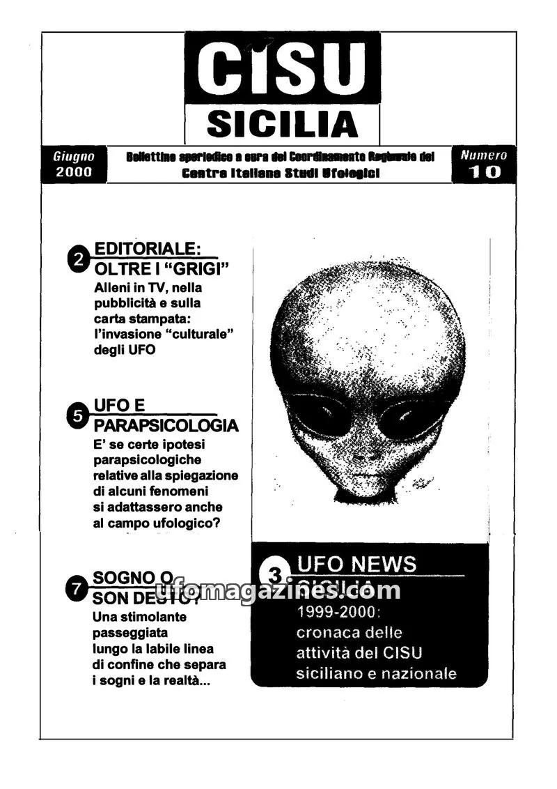 Cover of CISU Sicilia issue 10: CISU SICILIA