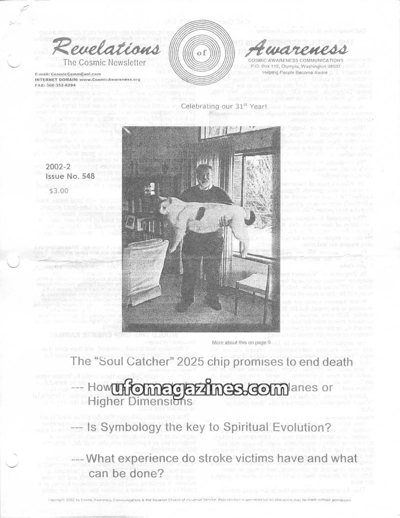 Cover of Cosmic Awareness issue 2002-2: Revelations of Awareness