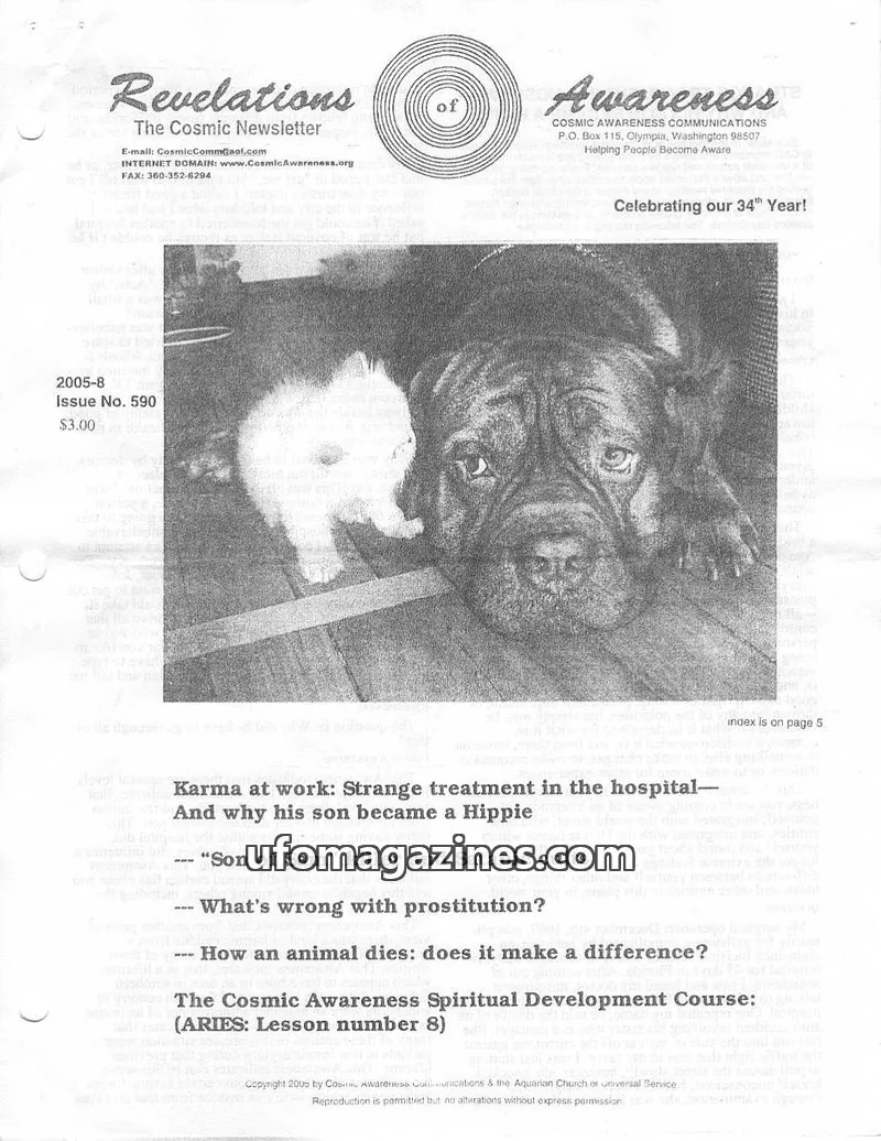 Cover of Cosmic Awareness issue 590: Revelations of Awareness