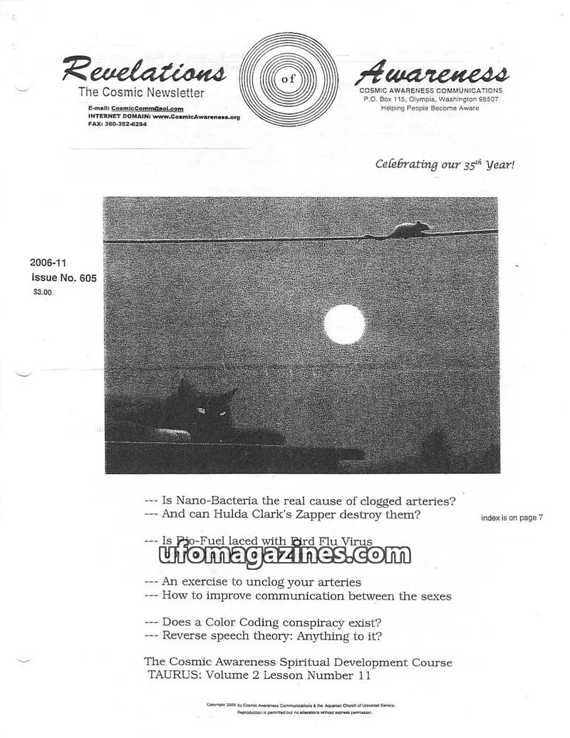 Cover of Cosmic Awareness issue No. 605: Revelations The Cosmic Newsletter