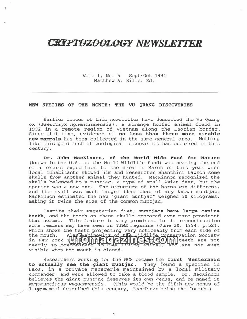 Cover of Cryptozoology Newsletter (Matt Bille) issue No. 5: CRYPTOZOOLOGY NEWSLETTER