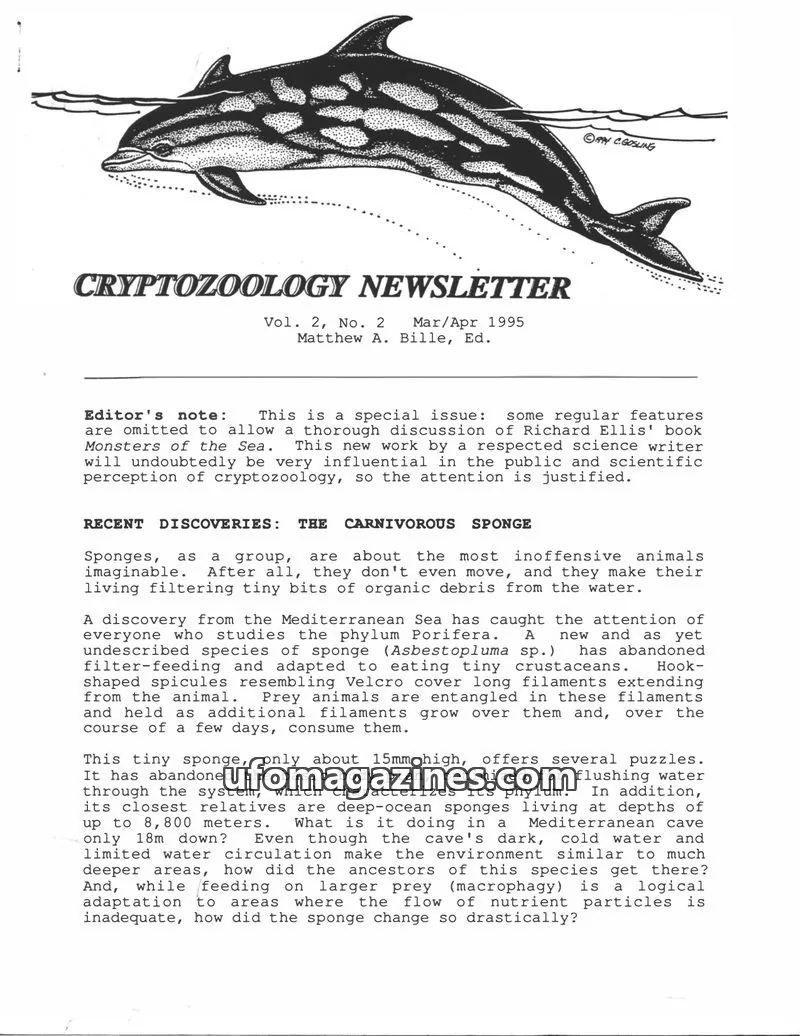 Cover of Cryptozoology Newsletter (Matt Bille) issue Vol. 2, No. 2: CRYPTOZOOLOGY NEWSLETTER