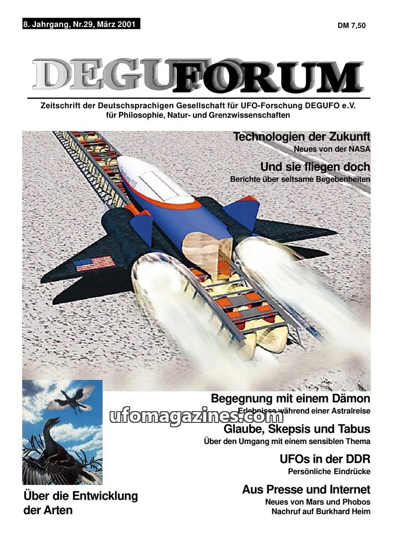 Cover of Deguforum (DEGUFO) issue Nr. 29: DEGUFORUM