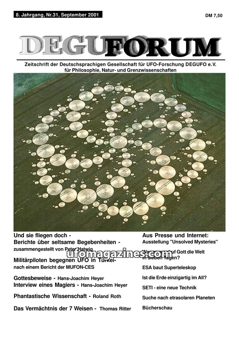 Cover of Deguforum (DEGUFO) issue Nr.31: DEGUFORUM
