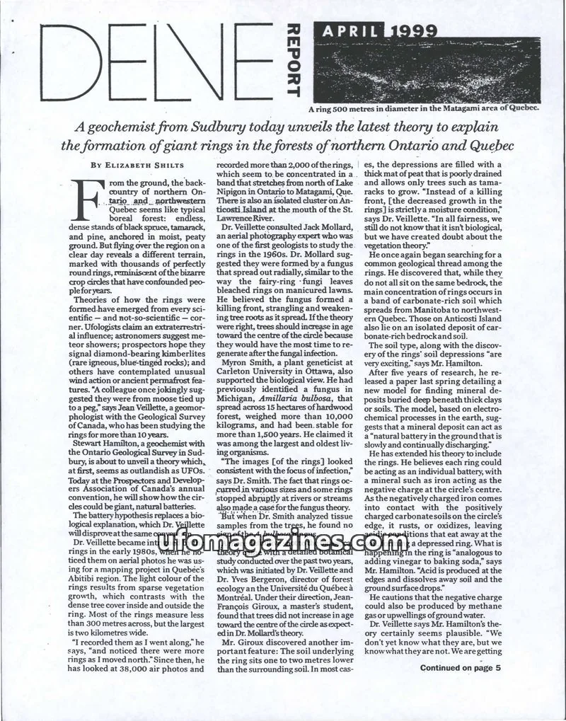 Cover of Delve Report (Duplantier) issue April 1999: DELNE REPORT