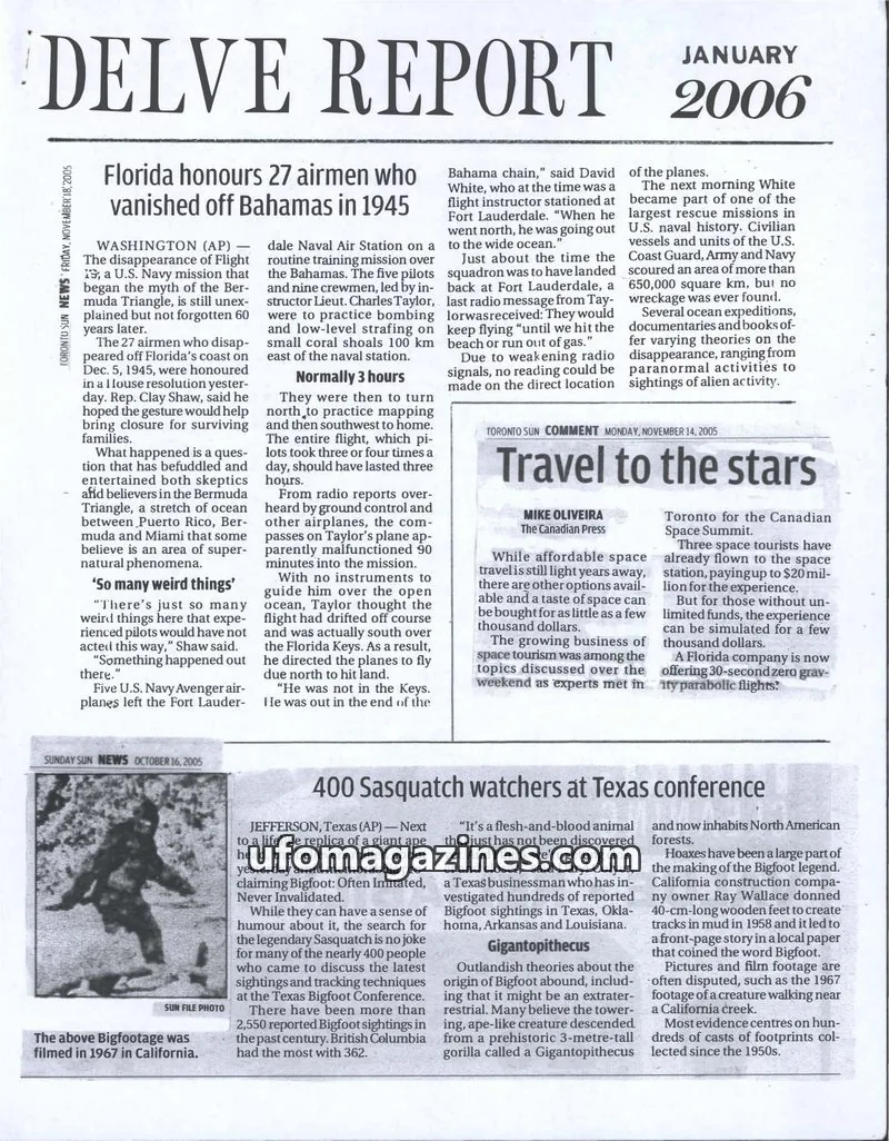 Cover of Delve Report (Duplantier) issue 2006: DELVE REPORT