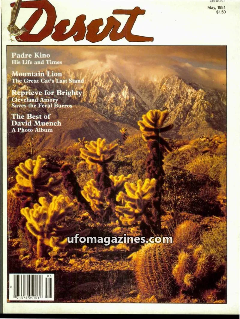 Cover of Desert issue Dell 04 101: Desert