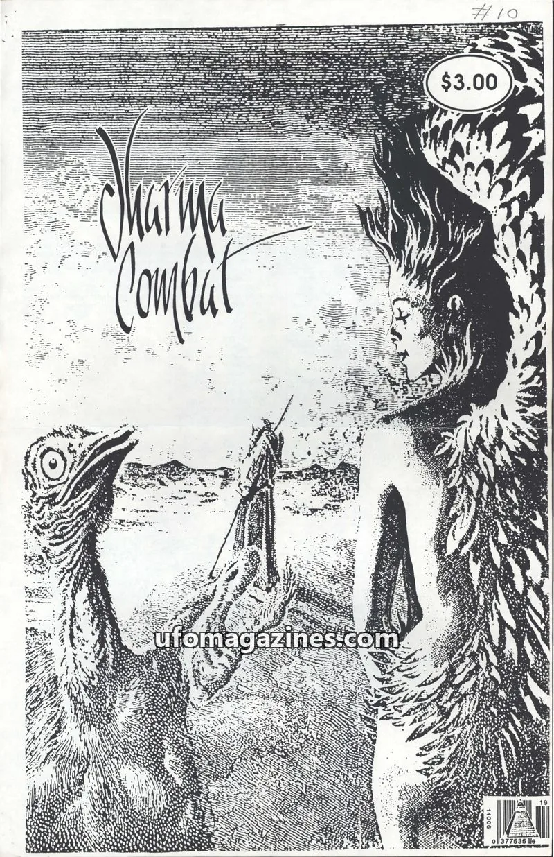 Cover of Dharma Combat (Jim Keith) issue 10: Dharma Combat