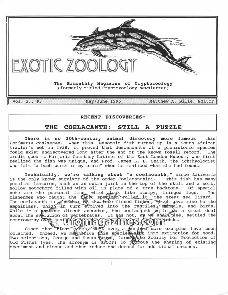 Cover of Exotic Zoology (Matt Bille) issue Vol. 2., #3: EXOTIC ZOOLOGY