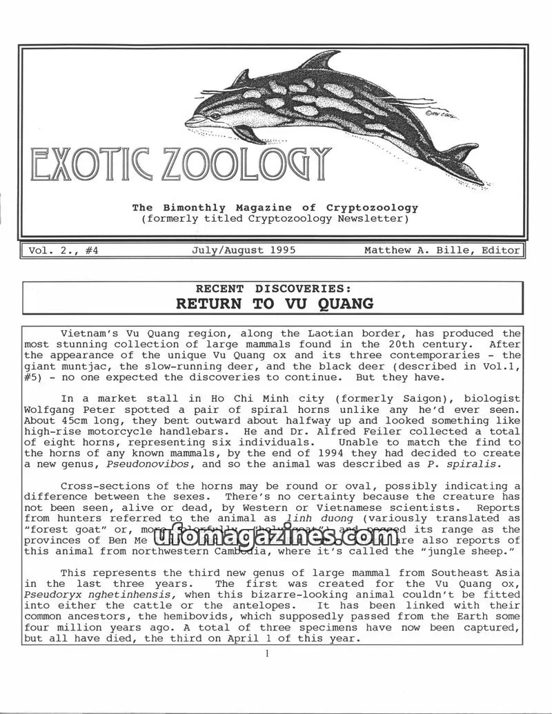 Cover of Exotic Zoology (Matt Bille) issue Vol. 2., #4: EXOTIC ZOOLOGY