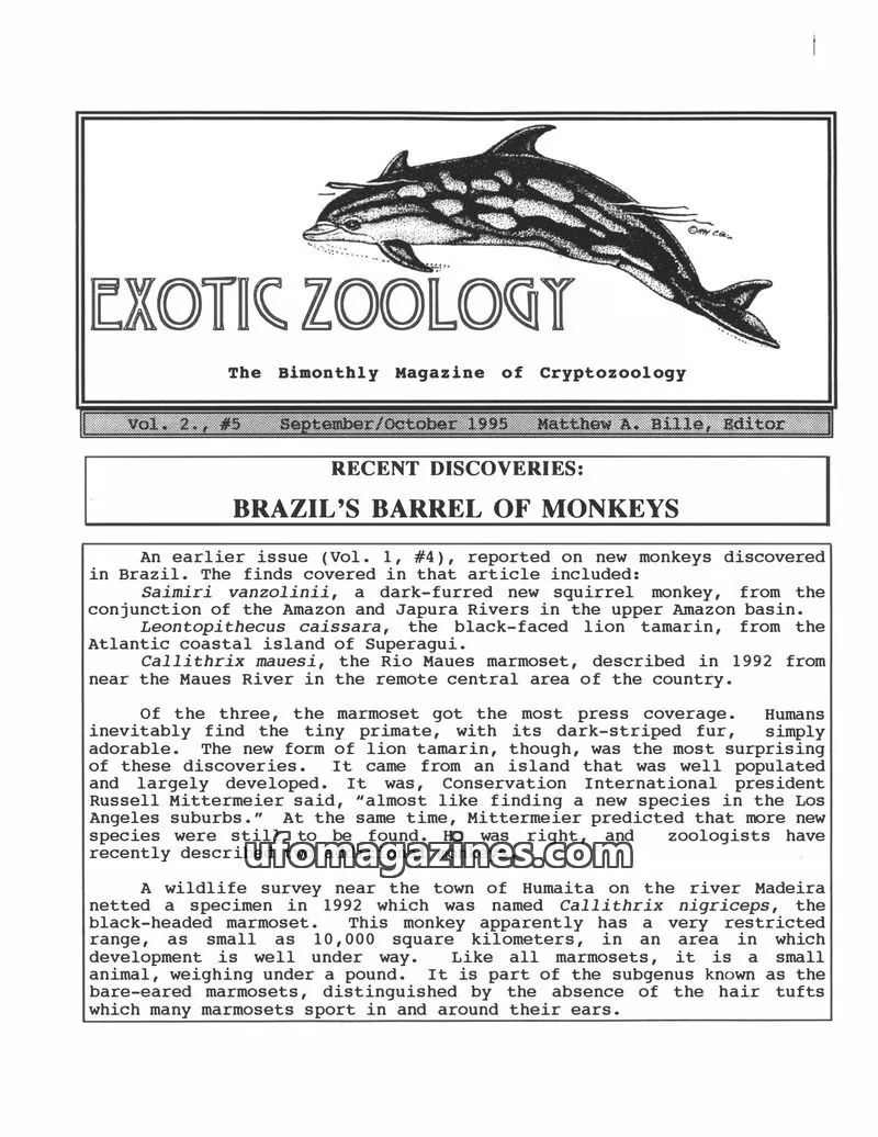 Cover of Exotic Zoology (Matt Bille) issue #5: EXOTIC ZOOLOGY