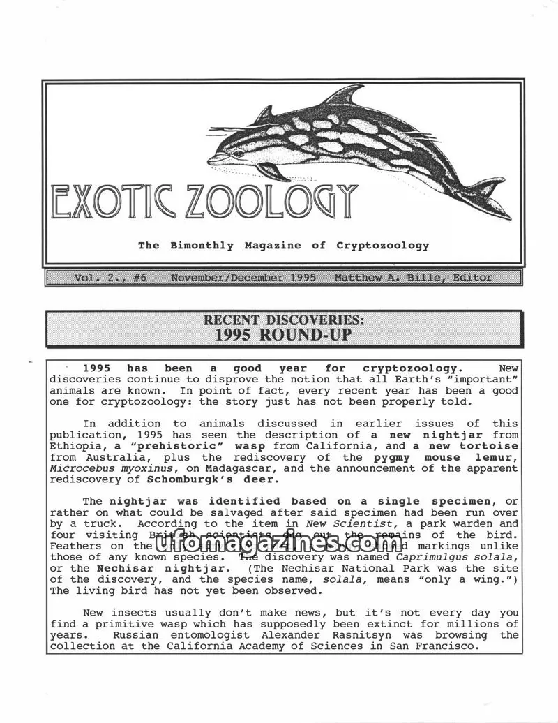 Cover of Exotic Zoology (Matt Bille) issue #6: EXOTIC ZOOLOGY