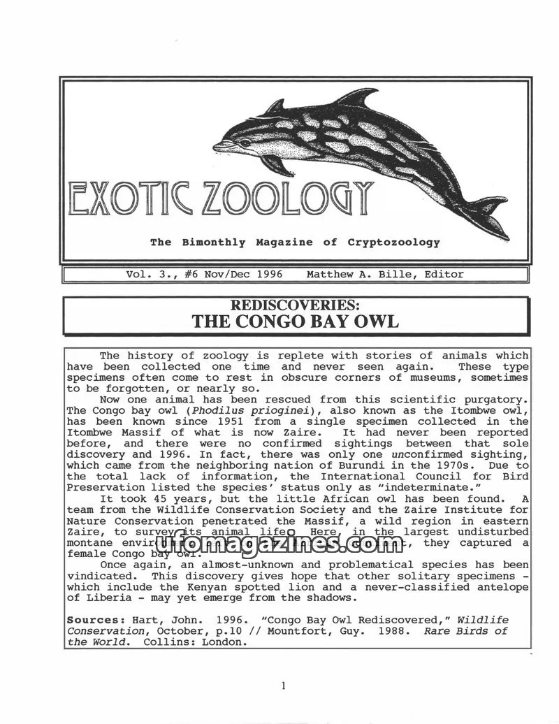 Cover of Exotic Zoology (Matt Bille) issue #6: EXOTIC ZOOLOGY