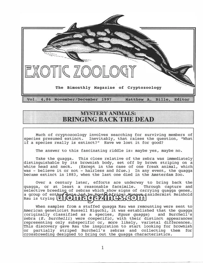Cover of Exotic Zoology (Matt Bille) issue 4, #23236: EXOTIC ZOOLOGY