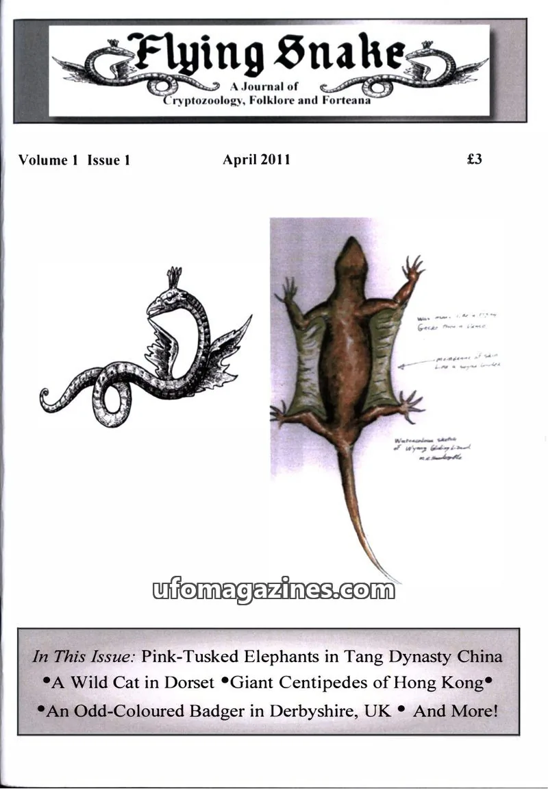 Cover of Flying Snake Press issue 1: Flying Snake