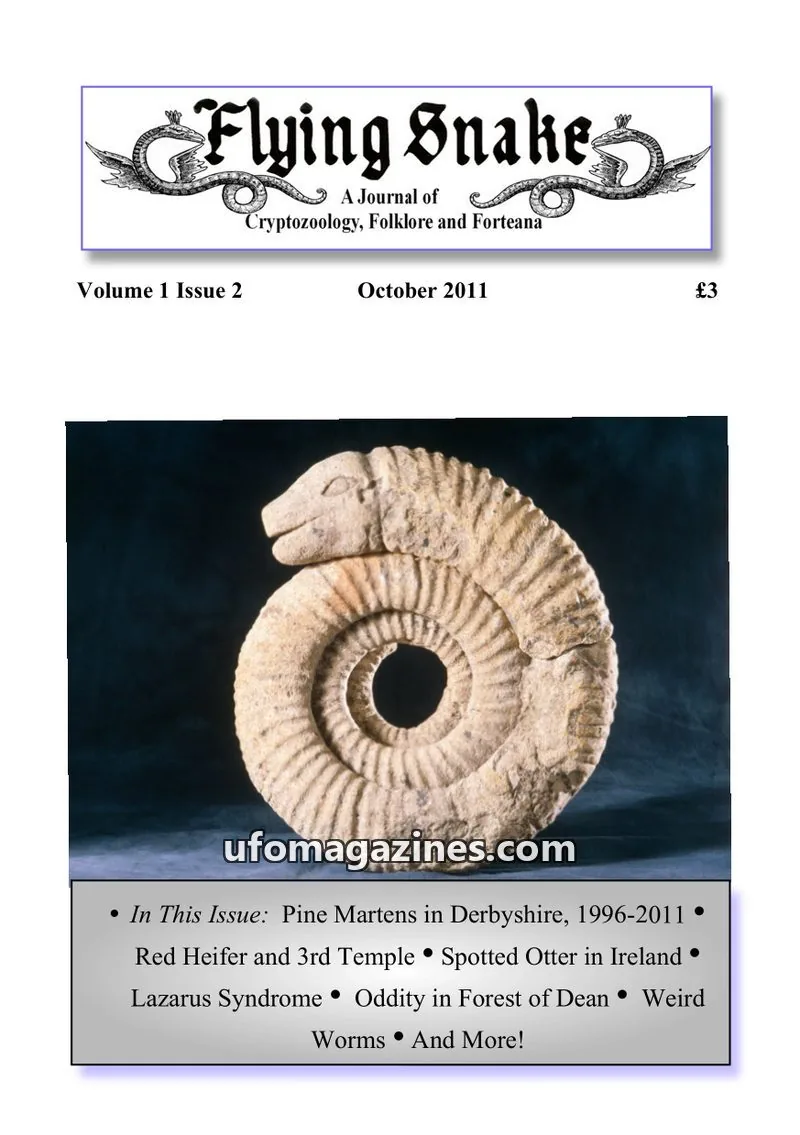 Cover of Flying Snake Press issue Volume 1 Issue 2: Flying Snake