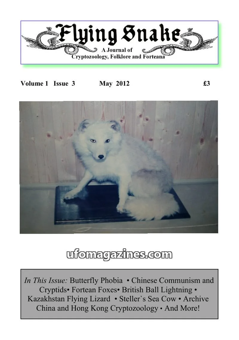 Cover of Flying Snake Press issue 3: Flying Snake