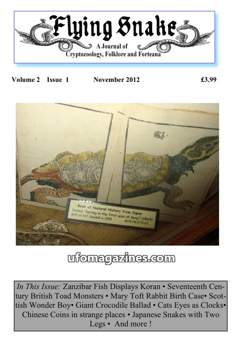Cover of Flying Snake Press issue 1: Flying Snake
