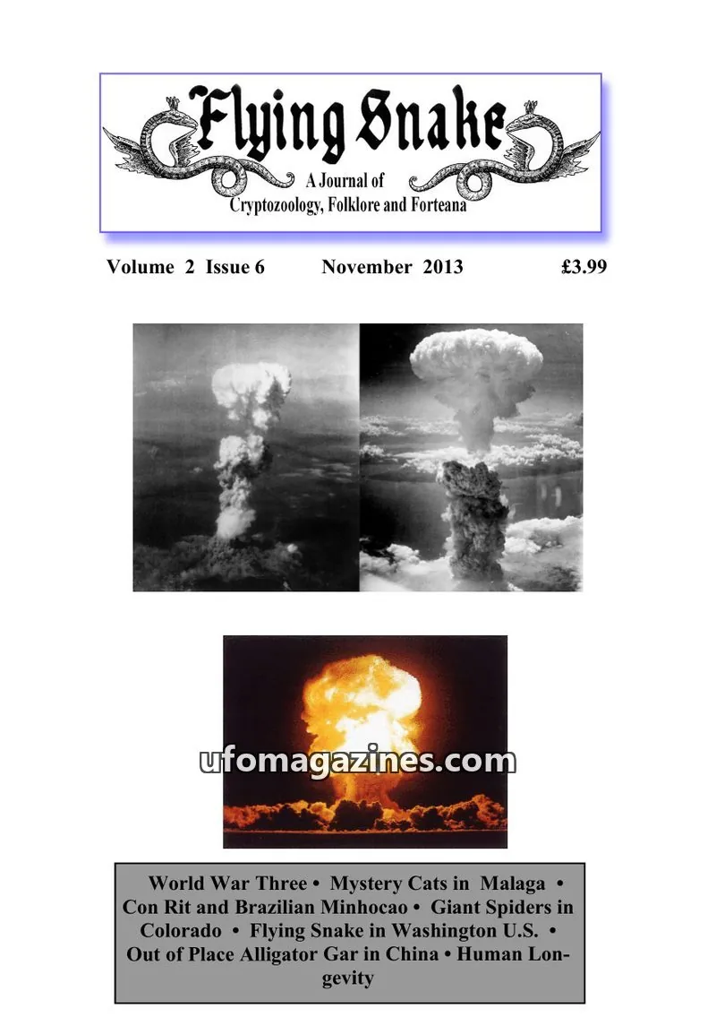 Cover of Flying Snake (Muirhead) issue 6: Flying Snake