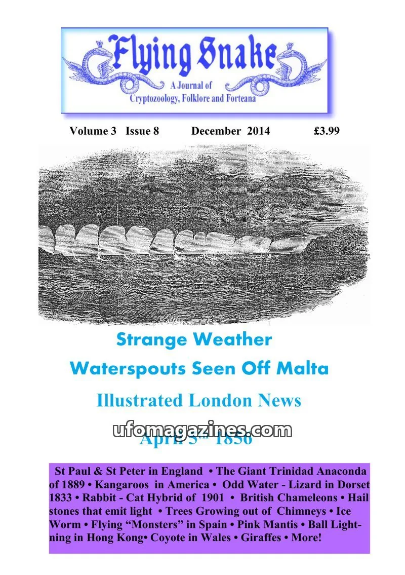 Cover of Flying Snake (Muirhead) issue 8: Flying Snake