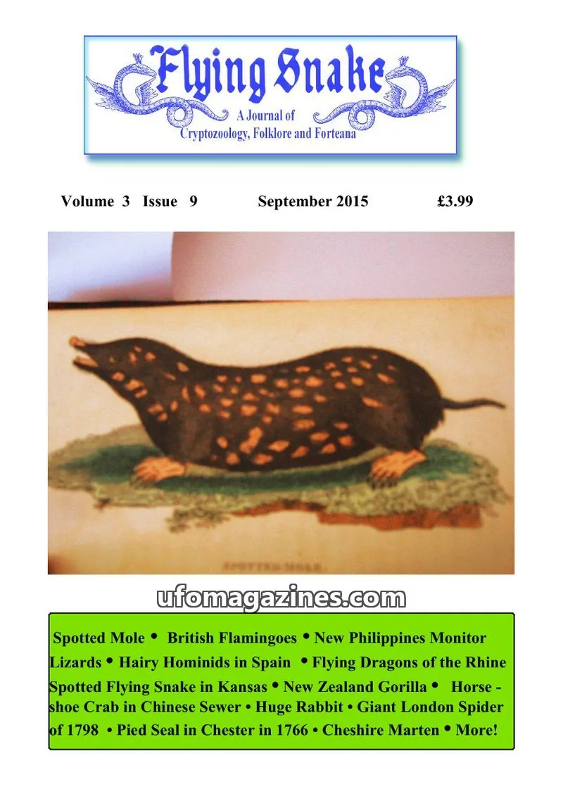 Cover of Flying Snake (Muirhead) issue 9: Flying Snake