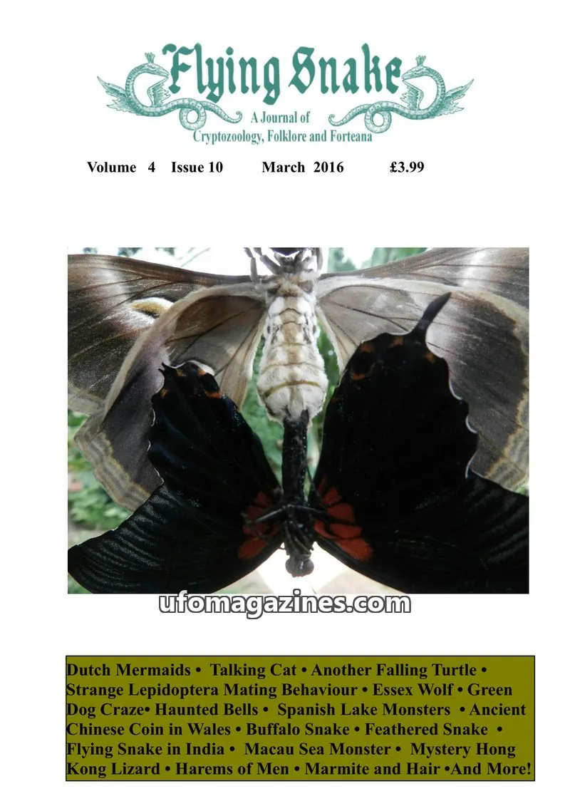 Cover of Flying Snake (Muirhead) issue 10: Flying Snake