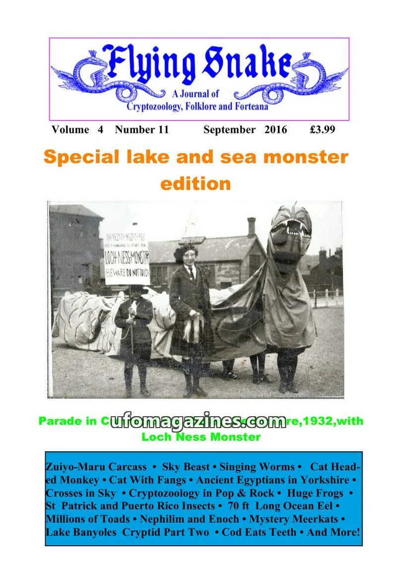 Cover of Flying Snake (Muirhead) issue Number 11: Flying Snake