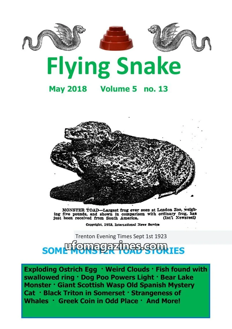 Cover of Flying Snake (Muirhead) issue 13: Flying Snake