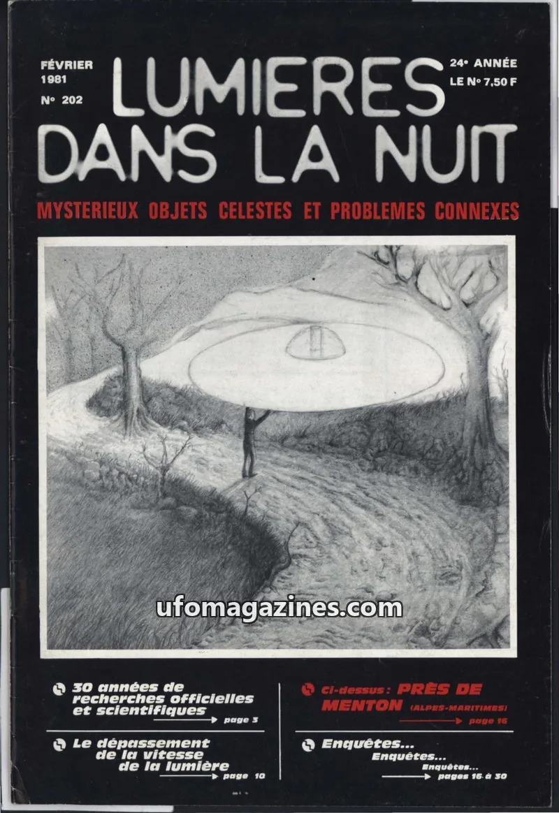 Cover of GROUPEMENT INTERNATIONAL DE RECHERCHES issue N° 202: LUMIÈRES DANS LA NUIT