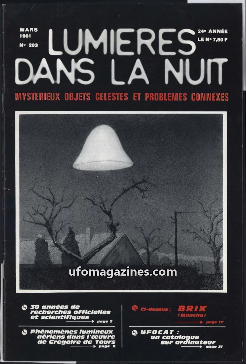 Cover of GROUPEMENT INTERNATIONAL LUMIERES DANS LA NUIT issue 203: LUMIÈRES DANS LA NUIT