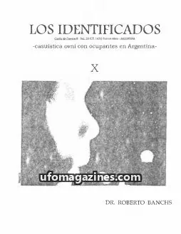 Cover of Los Identificados issue X: LOS IDENTIFICADOS
