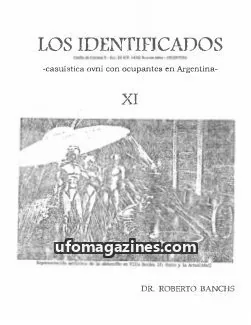 Cover of Los Identificados issue XI: LOS IDENTIFICADOS