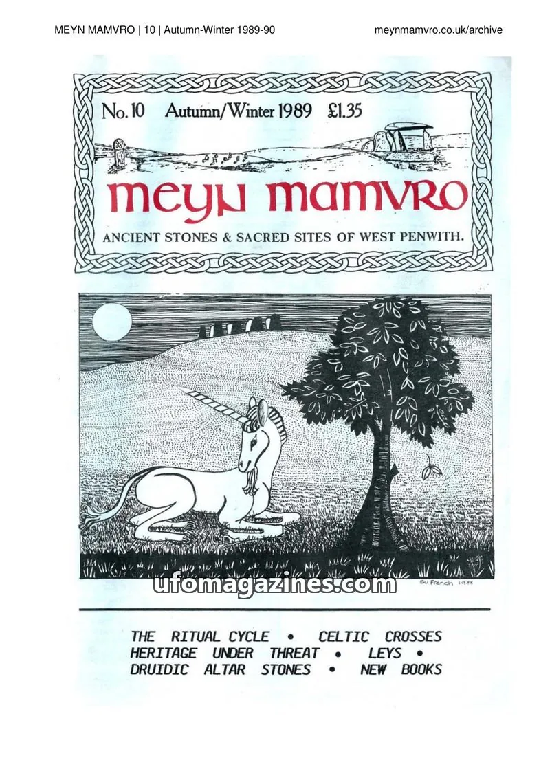 Cover of Meyn Mamvro issue 10: MEYN MAMVRO