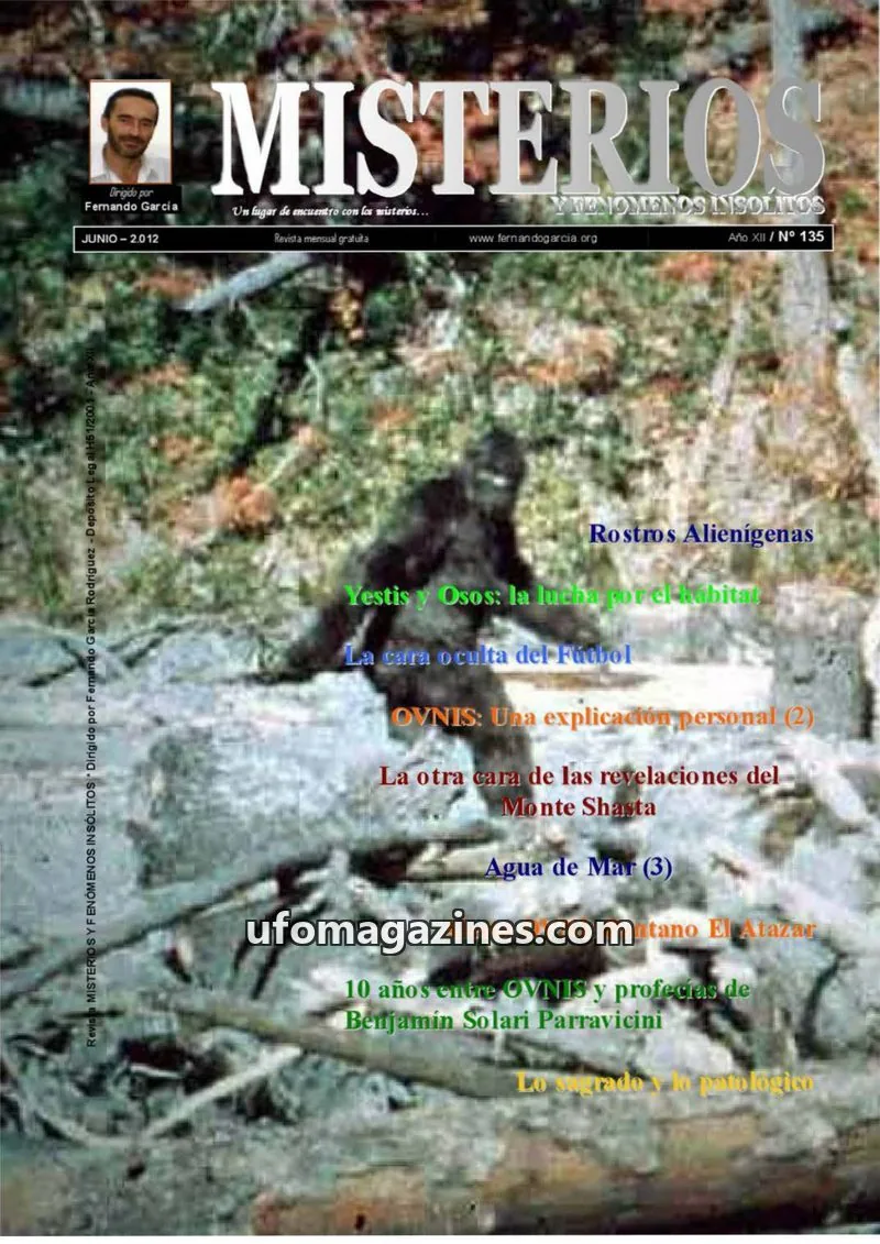 Cover of Misterios (Fernando Garcia Rodriguez) issue 135: MISTERIOS Y FENOMENOS INSOLITOS