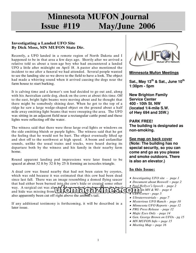 Cover of MUFON issue #119: Minnesota MUFON Journal